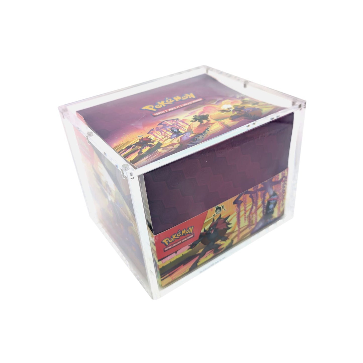 Protection acrylique premium pour Display de 10 Mini Tins