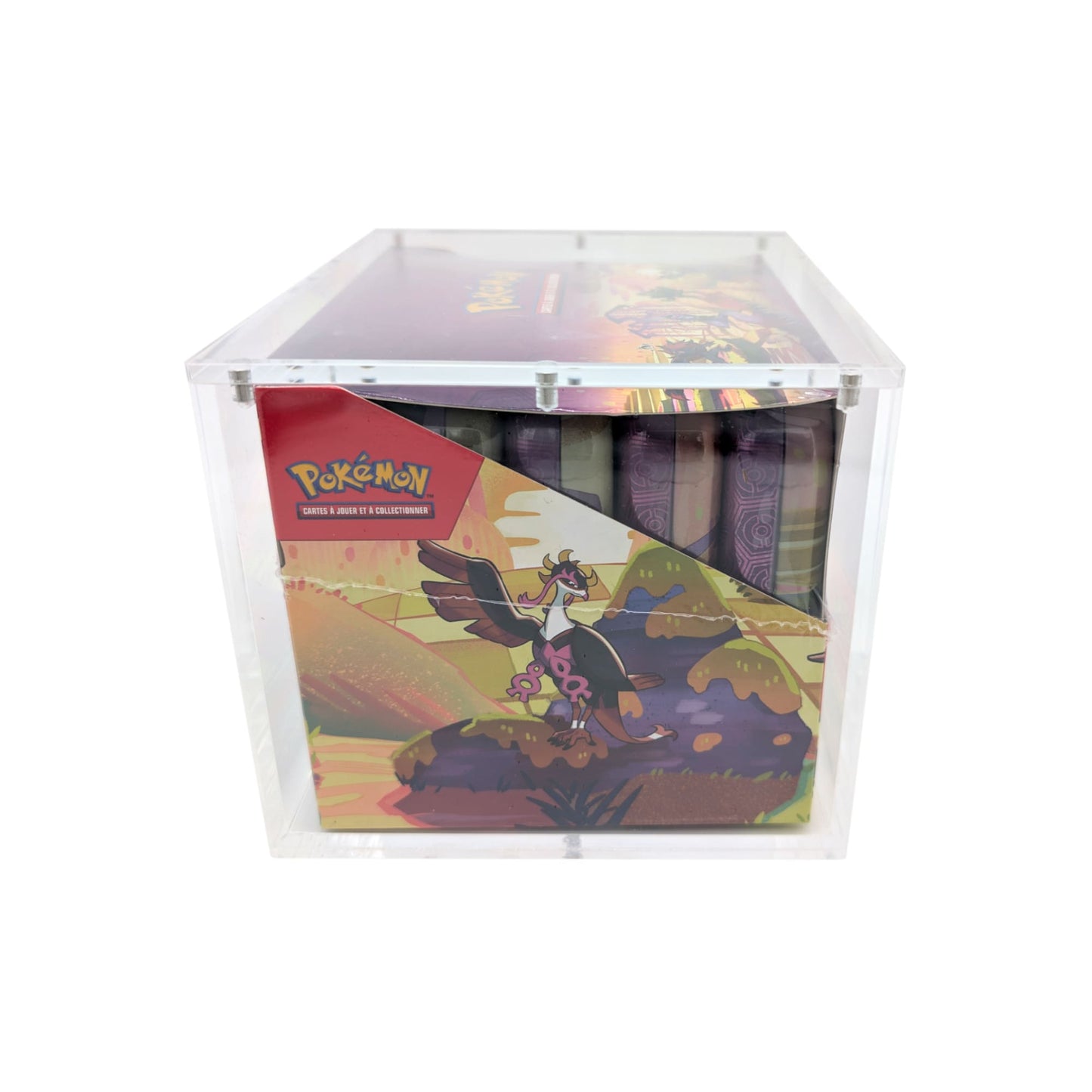 Protection acrylique premium pour Display de 10 Mini Tins